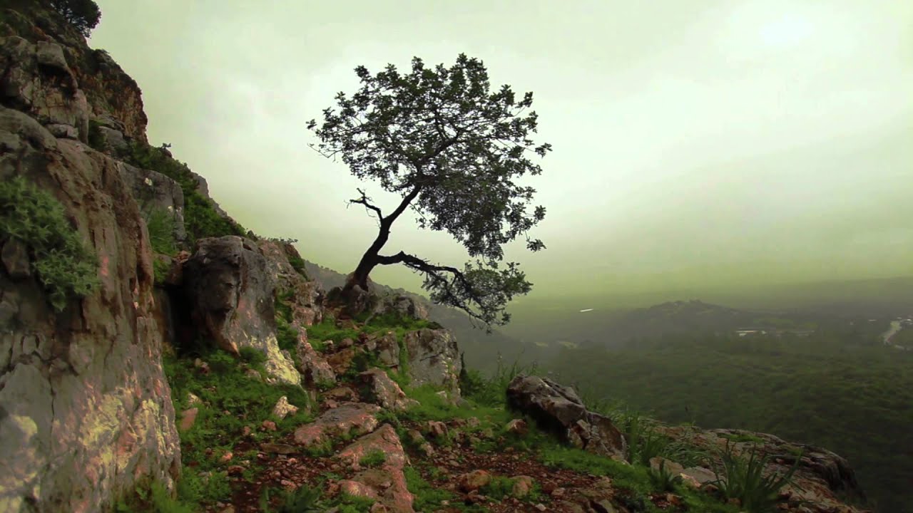 Earth Day 2014 Promo