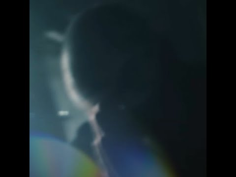 Video thumbnail for I’m getting money hardbody