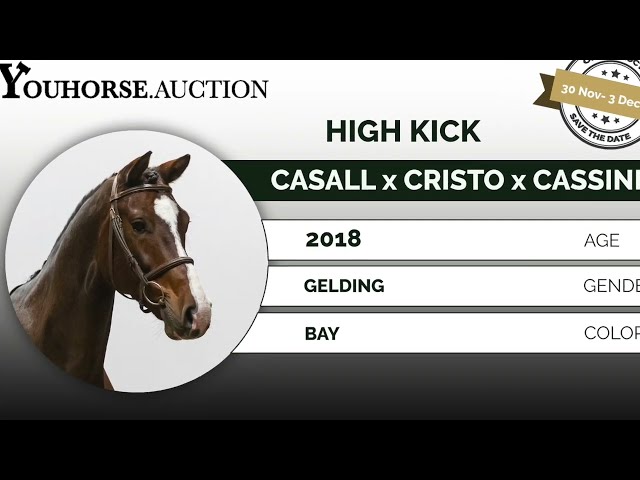 High Kick showvideo outdoor