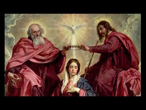 Live stream di Pietro Rescigno