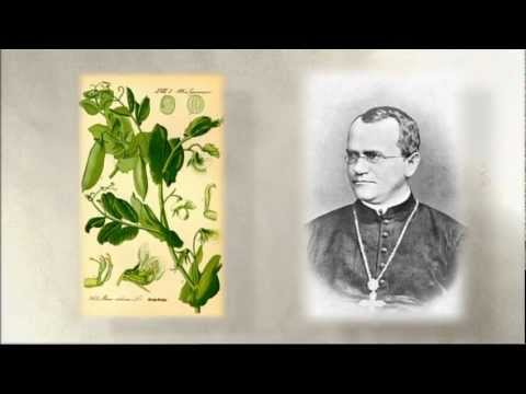 Welt Edition (Folge 20.)  Evolution - Charles Darwin [Trailer]