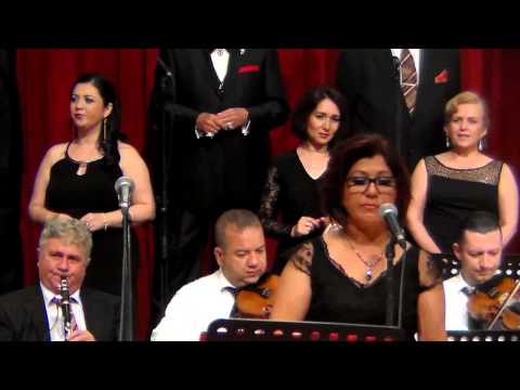 Gülfer DÜZGÜN-Gitmesin Gözlerinden Pırıl Pırıl Arzular (RAST)R.G.