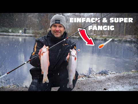 Die BESTE Montage am FORELLENSEE! Sbirolino + Pilotkugel - so geht's