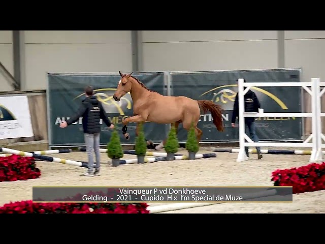 Vainqueur P Vd Donkhoeve