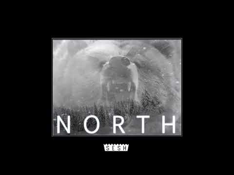 Brother Bear x DRIP 133 x Kodyak - North