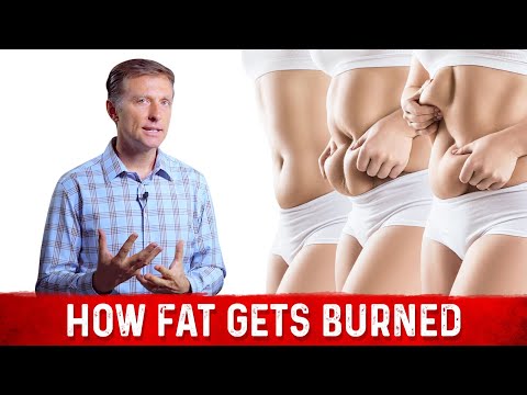 Why Sit Ups Are Bad Exercise to Reduce Belly Fat – Exercise for Belly Fat – Dr Berg