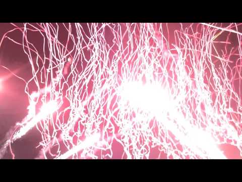 Skrillex live New Delhi India 2015