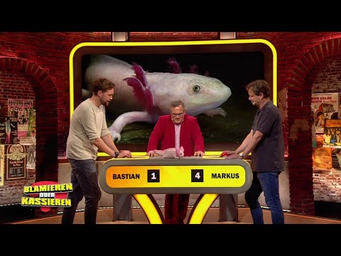 Wer staubt die 10.000€ ab? I Publikumskandidat Markus vs. Bastian Bielendorfer I BoK