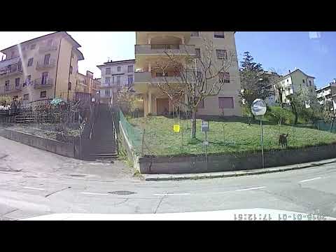 19 Rally Bianco Azzurro - Prova speciale 2/5/8