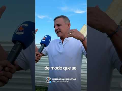 A queda da ponte não interrompeu apenas o trânsito