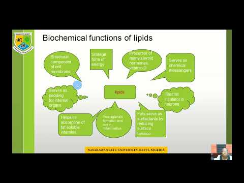 BCH211   GENERAL BIOCHEMISTRY   Y PROF  TITILAYO O  BAMIDELE