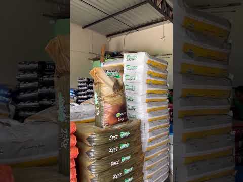 Loja Velha Porteira Abadia de Goiás