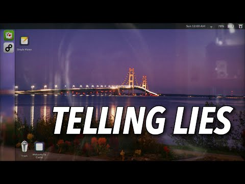 Telling Lies Gameplay | How It Works