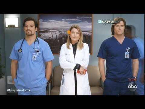 Grey's Anatomy 15x06 Meredith Deluca and Link  - A Love Triangle In the Making? Jo as a Matchmaker