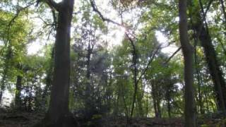 Medieaval Baebes - The woods and the rivers are silent