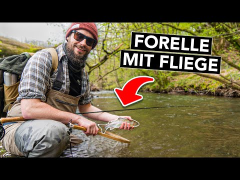 Erfolgreich Fliegenfischen am Bach 🎣 Köder, Stellenwahl & unerwarteter Fang