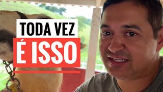 ESSE TRABALHO NO SÍTIO NÃO É FÁCIL.