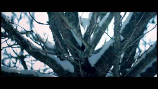 BLUE SCHOLARS: Coffee and Snow 2