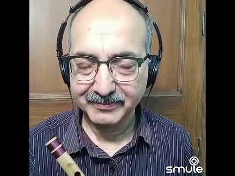 Flute - Tu chanda main chandni - Anil Sabharwal