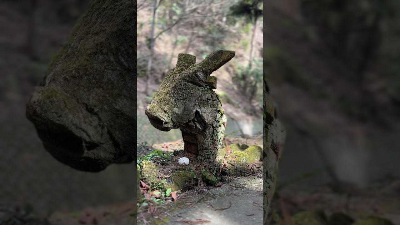 滝見て落ち着こうぜ【名水百選洒水の滝】#滝