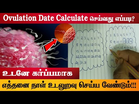 கருமுட்டை வெடிக்கும் நாள் | signs of ovulation | best time to get pregnant after your period 