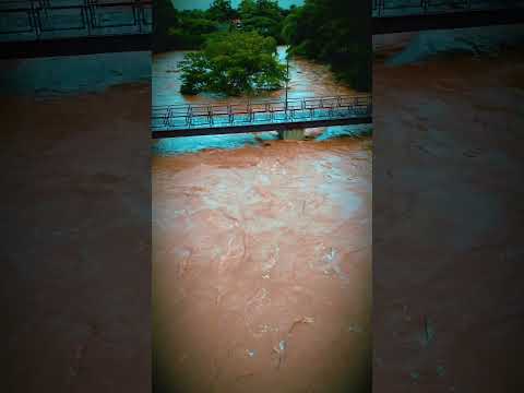 Chuvas intensas elevam o Rio São Domingos em Aurilândia-GO, mas sem alagamentos ou prejuízos.