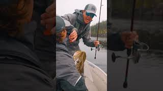 MASSIVE Topwater Northern Pike!