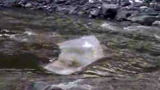 Ice 0n River of No Return Idaho