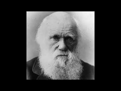 Prager U supports Intelligent Deception