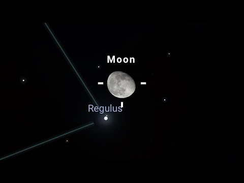 Regulus. The King star. The moon a faithful witness ? 
