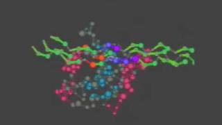 Collagen Recognition by Integrin for Signal Transduction