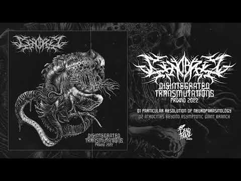 GENORBIT - DISINTEGRATED TRANSMUTATIONS [OFFICIAL PROMO STREAM] (2022) SW EXCLUSIVE