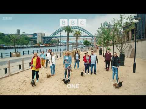 BBC Rebrand | BBC One's last Oneness ident, 1st April 2022