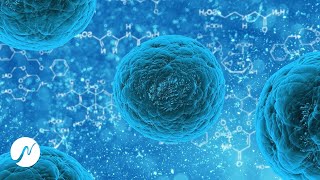 Anti Viral Frequency