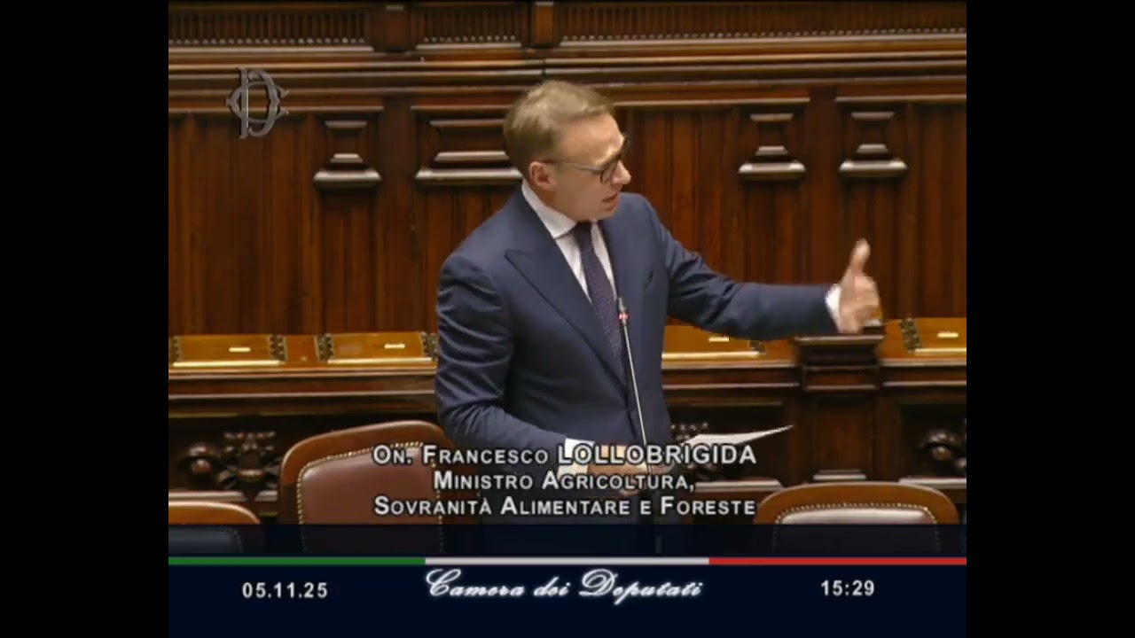 BOTTA E RISPOSTA TRA LOLLOBRIGIDA E ROSSI SUI DAZI E EXPORT