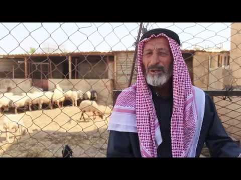 تقوع تاريخ وحضارة - Tuqu' History & Civilization