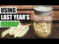 Using Last Years Seeds Garden Quickie Episode 120