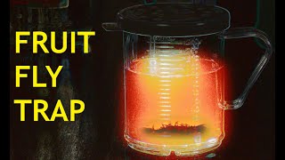 Effective Fruit Fly Trap (Non-Toxic)