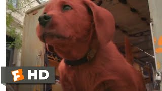 Clifford the Big Red Dog (2021) - Clifford to the Rescue Scene (6/10) | Movieclips