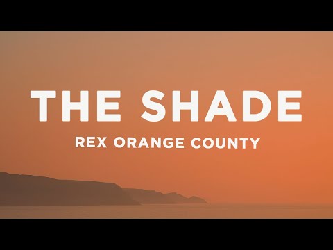 Rex Orange County on his internet obsessions