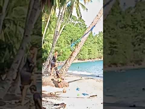 ang babaeng walang pahinga