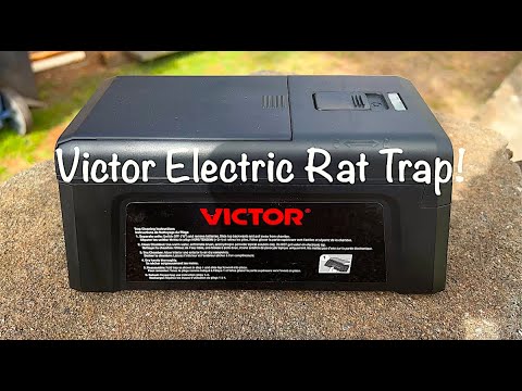 Victor Electric Rat Trap From Amazon! It WORKS!