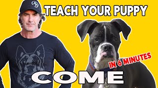 How to teach Your PUPPY to COME When Called - Best Puppy Training