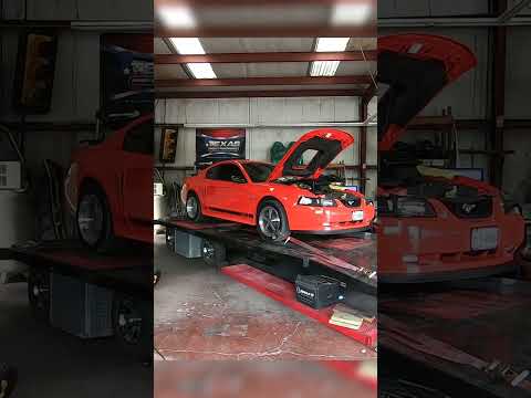 Cammed 2004 Mach 1 Roars on the Dyno | Incredible Sound & Power! #mustangmach1 #fordmustang