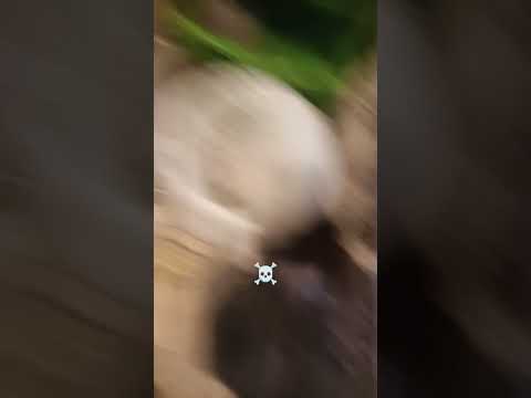 it's so to so funk s cool