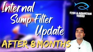 DIY Internal Sump Filter Update || Low Cost Internal Filter || DIY In Tank Glass Filter||Sump filter