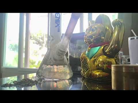 The Metal Lungz 2023 Double edge sword