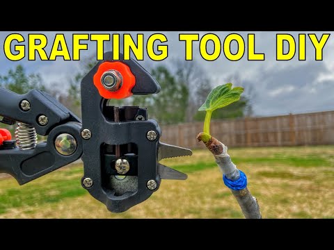 Do Grafting Tools Work? Complete Grafting Tool DIY