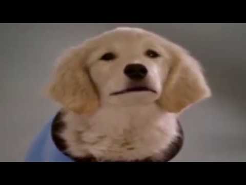 B-Dawg the Magnificent Part 9 - "A Possible Hero"