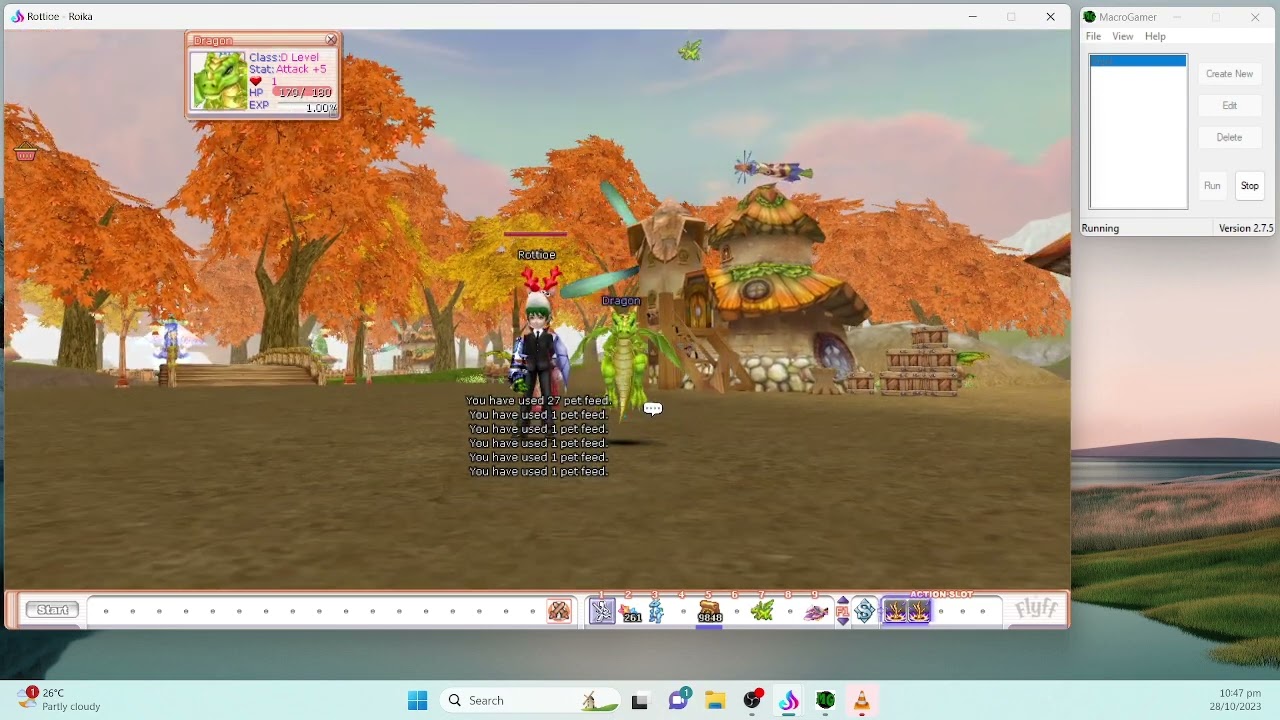 Macrogamer to Ftool?